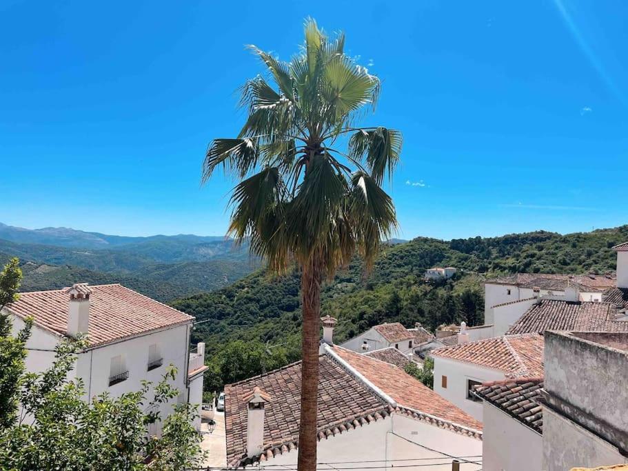 La Palmera. Casa Rural Con Piscina Privada. Benadalid Exterior foto
